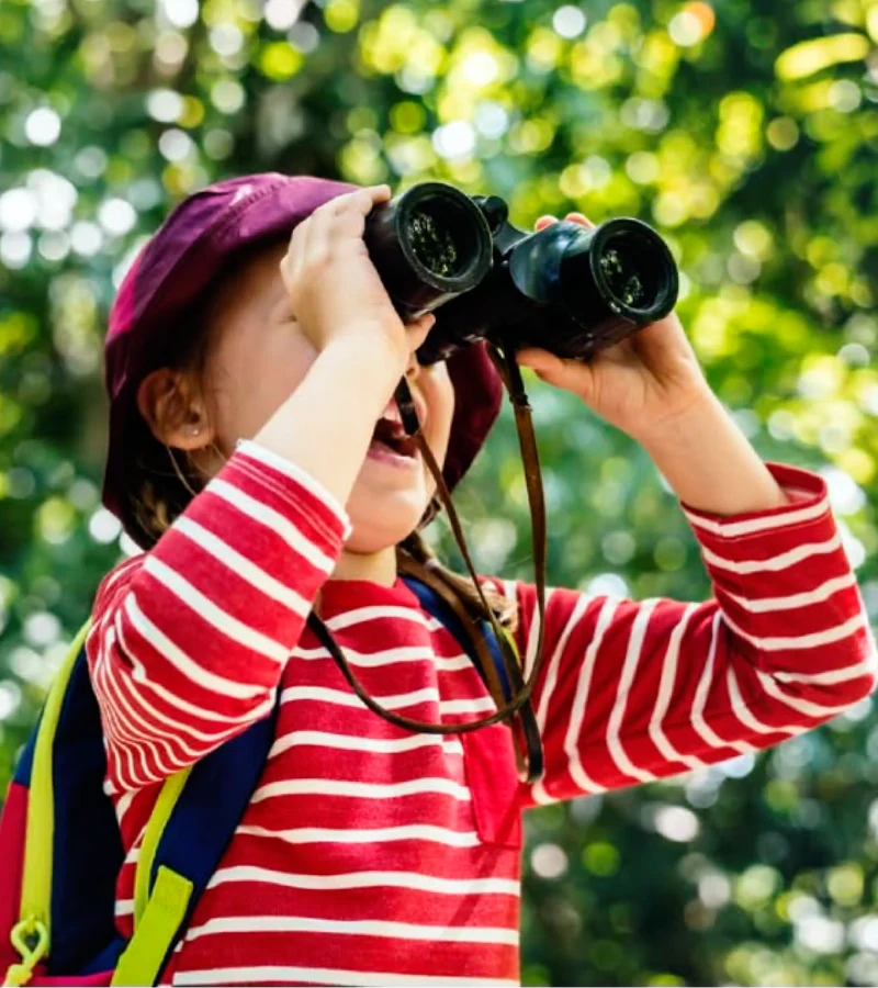 banner-image